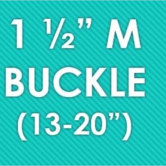 NWOT Medium Dog Collar - Picture 2 of 2